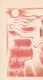 Other image