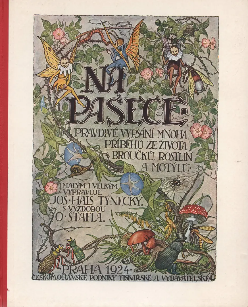 Main image